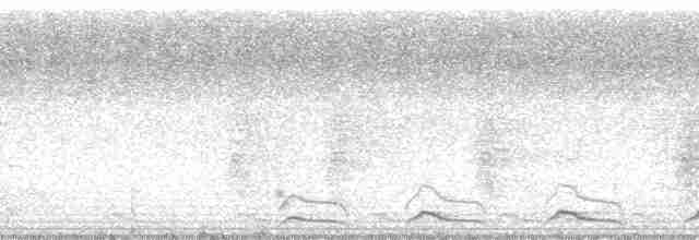 Black-tailed Trogon (Black-tailed) - ML11423