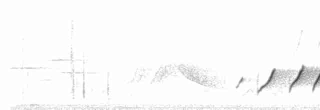 Белоухая сибия - ML114309671