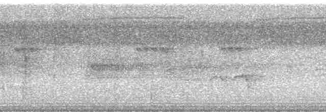 Black-tailed Trogon (Black-tailed) - ML11431