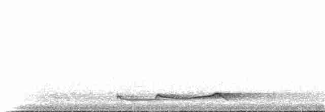 Silky-tailed Nightjar - ML114318581
