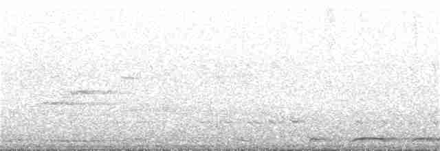 hrdlička kropenatá - ML114340601
