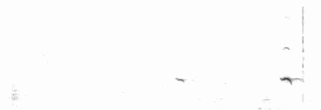 Benekli Notura Tinamusu - ML114397301