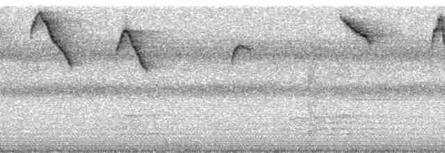 Коричневый колибри-отшельник - ML11464