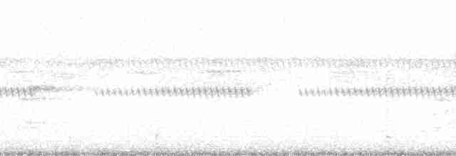 Graubrust-Ameisendrossel - ML11468