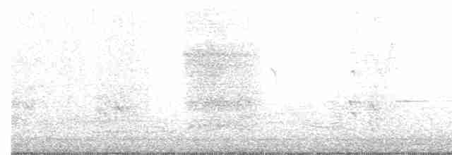 Seidenlaubenvogel - ML114797691