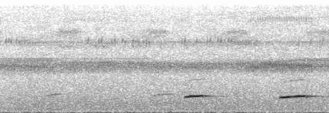 黃嘴角鴞 - ML114829