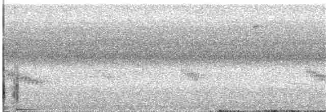 Поплітник каролінський - ML114837341
