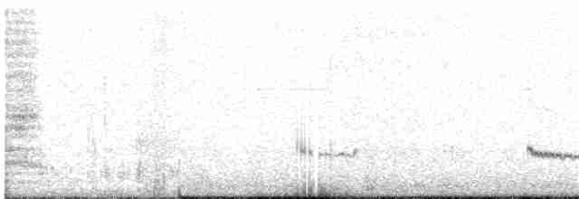 Pluvier oréophile - ML114877871