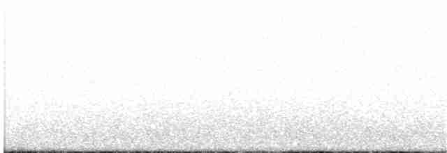 Пестрогрудый норник - ML114878091