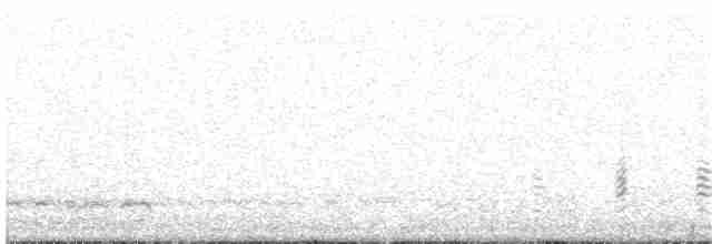 Magellanic Snipe - ML114879231