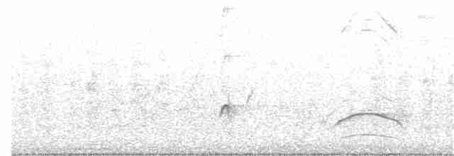 kukačka veverčí - ML114959621