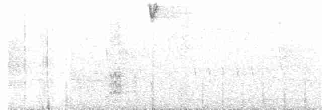 White-naped Brushfinch - ML114962501