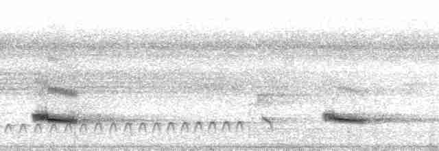 Toucan vitellin (ariel) - ML114981