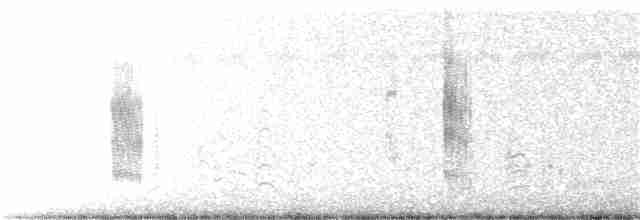 黑腹燕鷗 - ML115053041