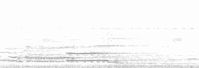 arassari černokrký - ML115103