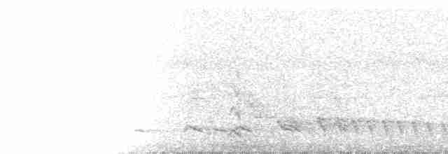 Krähenstirnvogel - ML11513