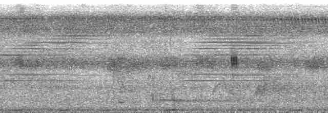 Trompetero Aliverde Occidental (dextralis) - ML115177