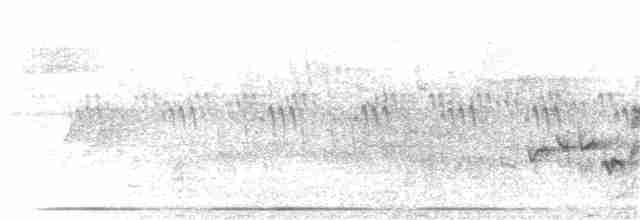 Віреон світлобровий (підвид gilvus) - ML115213991