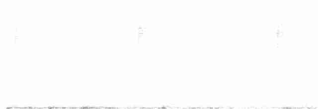 Свертушка чорноголова - ML115227881
