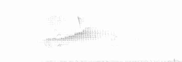 Kısa Gagalı Sepetören - ML115228551