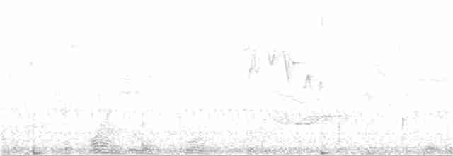 Тимелія-куцохвіст велика (підвид albiventer/pallidior) - ML115233491