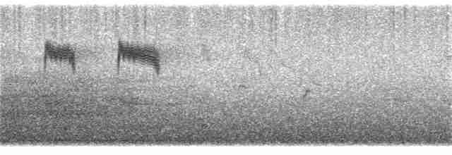 linduška lesní - ML115236681