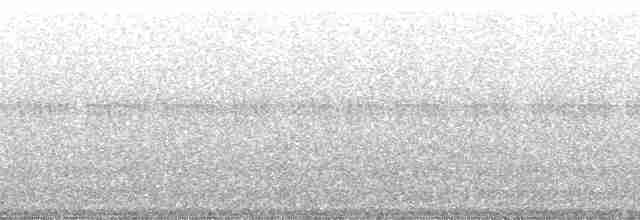 Манакін-стрибун карликовий - ML115257