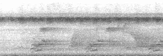 Great Tinamou - ML115283