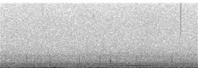 holub bledolící - ML115283241