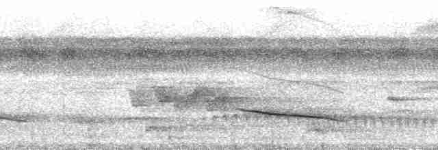Slaty-capped Shrike-Vireo (Slaty-capped) - ML115292