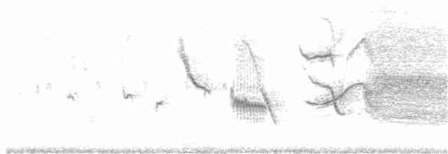 Long-tailed Meadowlark - ML115344511