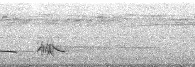 Boz Başlı Sinekkapan - ML115428