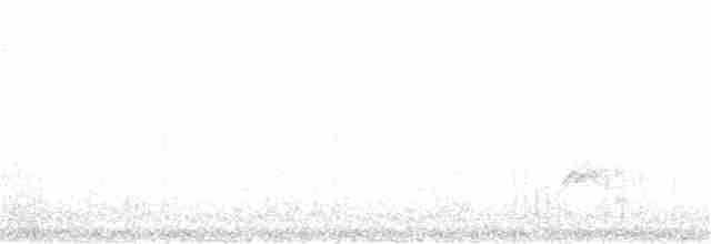 stripediamantfugl (striatus) - ML115549791
