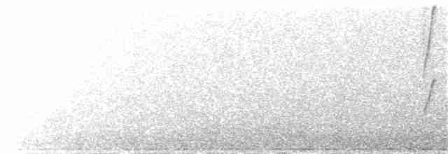 Weißkehl-Kleidervogel - ML115557501