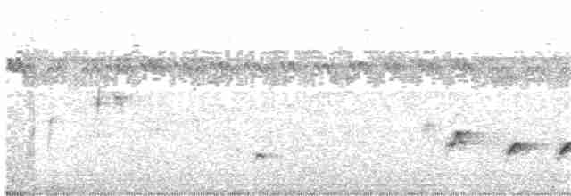 svarthodelarveeter - ML115561991