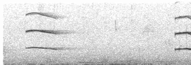 African Gray Hornbill - ML115573881