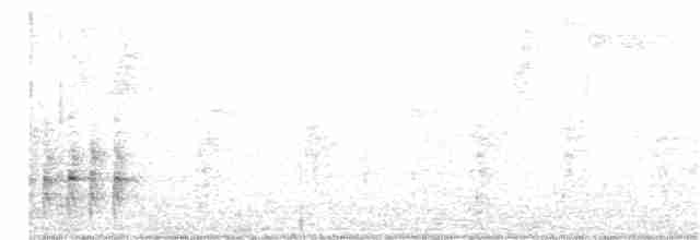 Russet-crowned Crake - ML115714141