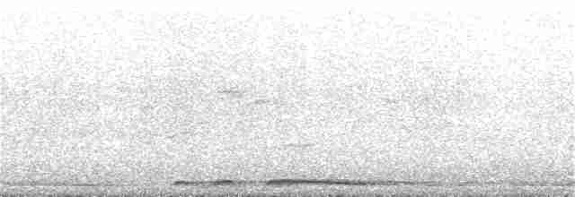 hrdlička kropenatá - ML115730931