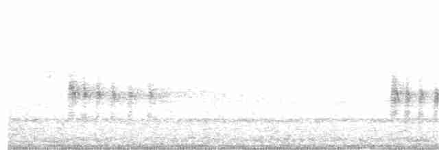 Antillennachtschwalbe - ML115730961