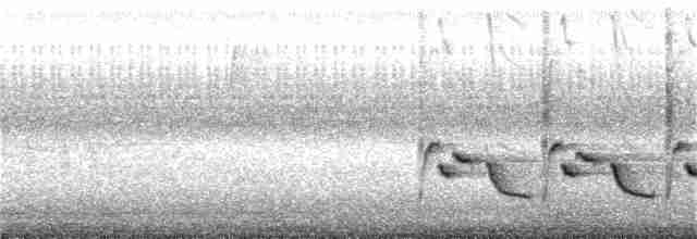 Каролинский крапивник - ML115739221