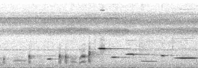 Толстоклювый крапивник (arada) - ML115745