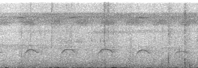 Лінивка-коротун сіроголова - ML115759