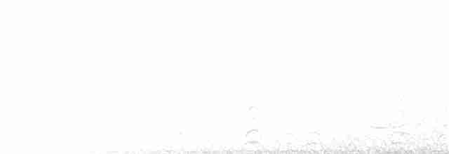 Avustralya Saksağanı [tibicen grubu] - ML115768021