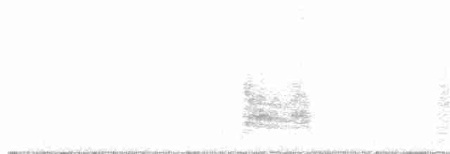 White-crowned Wheatear - ML115789161