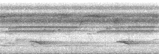 Zigzag Heron - ML115794