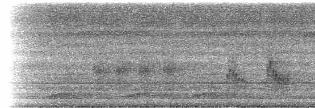 Kara Karınlı Yazılı Ağaçkakan - ML115885