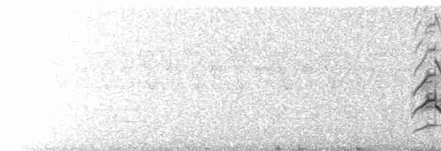 aviceda hnědohřbetá - ML115900211