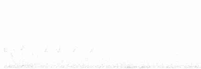 Black-eared Cuckoo - ML115914891