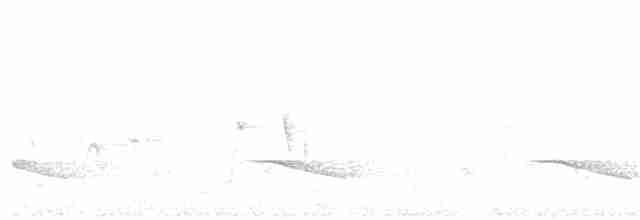 Eastern Shrike-tit - ML115914941