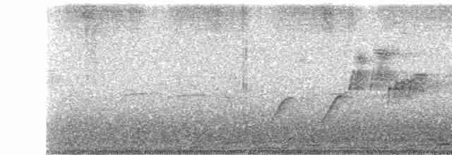 Хохлатый колибри (exilis) - ML115957
